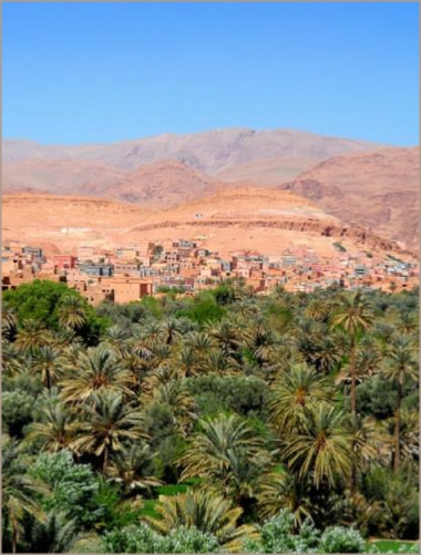 Tours desde Marrakech