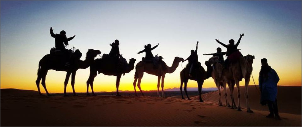 Tours desde Marrakech