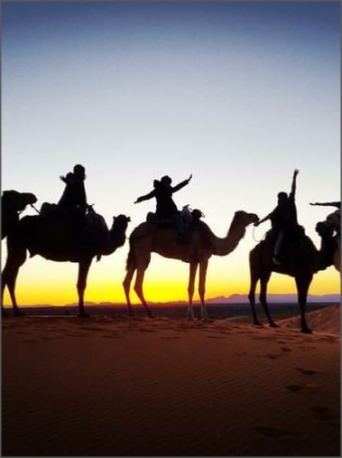 Tours desde Marrakech