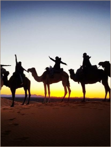 Tours desde Marrakech